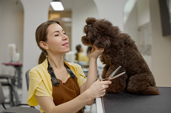 Groomer Image