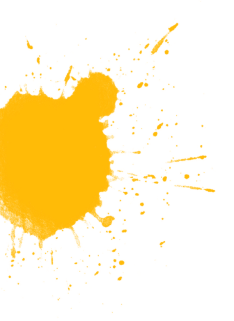 shape